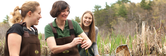 Professor Dorothy Boorse in wetlands with students