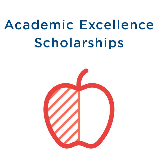 academic excellence scholarships