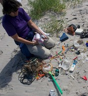 coastal cleanup