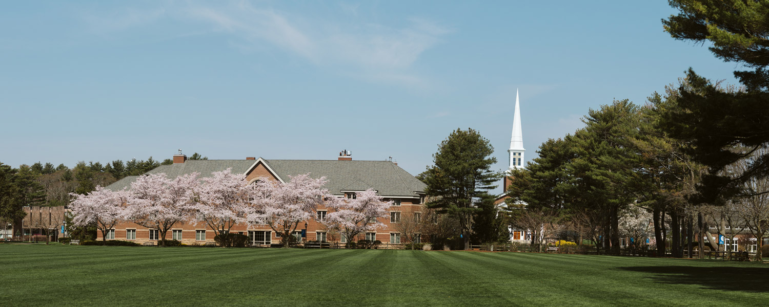 View of campus across the quad towards Chase Hall
