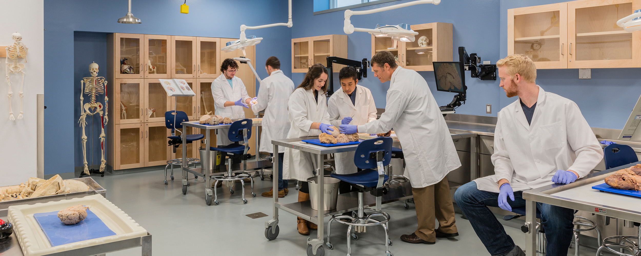 students performing dissection in anatomy lab