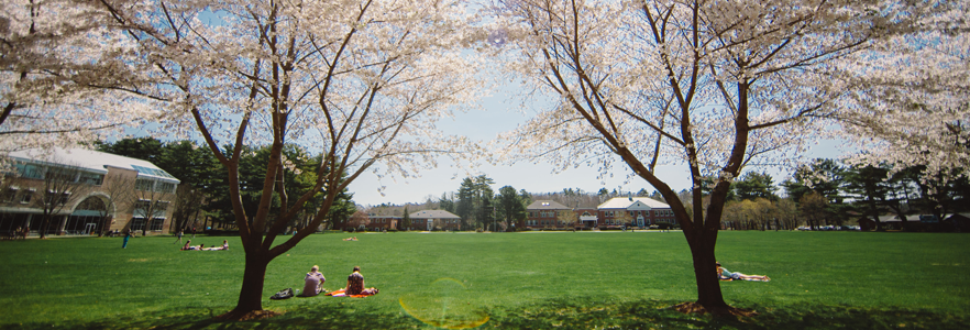 Campus quad in summer