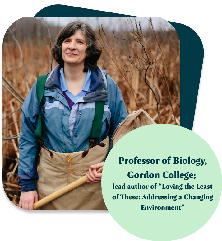 photo of Dr. Dorothy Boorse, a professor of biology and class of 1987 graduate of Gordon College, a Christian college on the North Shore of Boston.