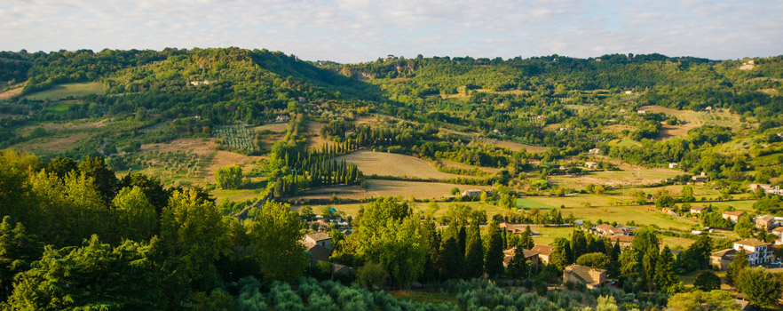 Orvieto hillside
